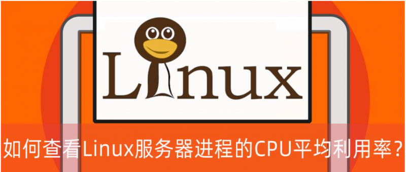 查看Linux服务器进程的CPU平均利用率？